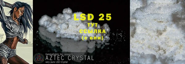 гидра Вяземский