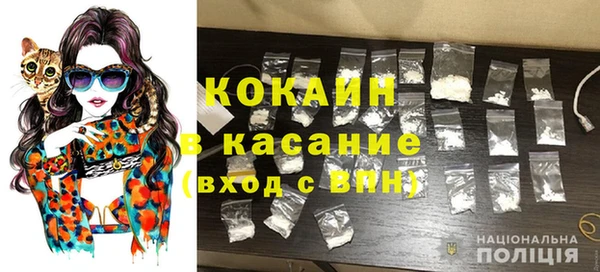 гидра Вяземский